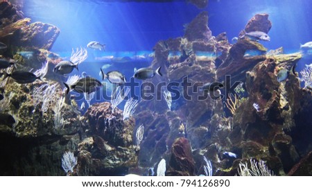 Similar – Image, Stock Photo fisheye Green Buoy Ocean