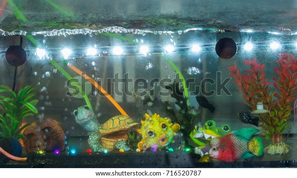 Beautiful Fish Tank Interior Decoration Cabinet Royalty