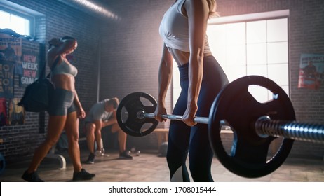 416 Gym workout back ground Images, Stock Photos & Vectors | Shutterstock