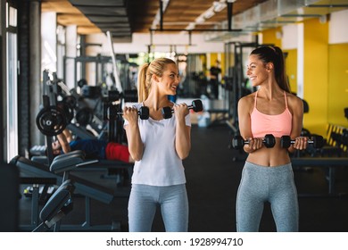 Beautiful fit women working out in gym to stay healthy. - Powered by Shutterstock