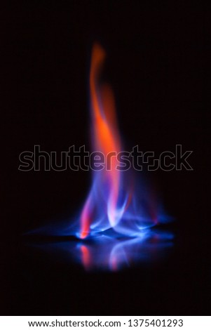 Beautiful flame of burning alcohol, great design for any purposes. Abstract blaze fire flame texture background. Gas flame. Black background.