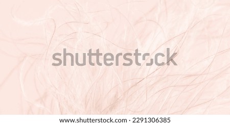 Beautiful floral abstract light beige background of nature. Abstract natural background of soft plants. Fluffy beige stems feather grass. Banner background with copy space.