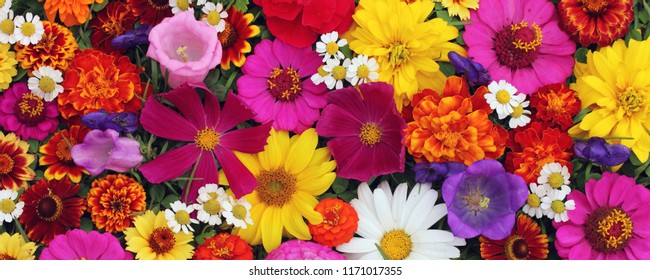 Beautiful Floral Background Greeting Postcards Texture Stock Photo ...