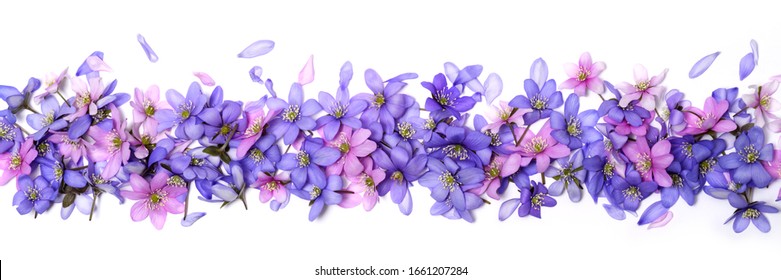 violet border images stock photos vectors shutterstock https www shutterstock com image photo beautiful floral border pink blue spring 1661207284