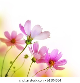 Beautiful Floral Border.Flower design - Powered by Shutterstock