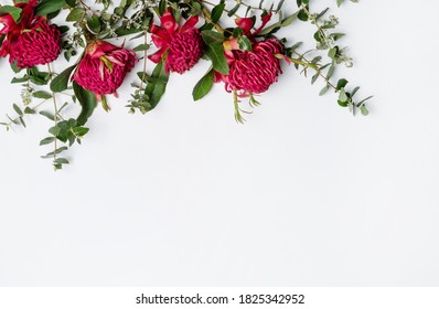 Beautiful Floral Flat-lay Arrangement Of Australian Native Red Waratah Flowers And Eucalyptus Leaves, Creating A Border 
On A Rustic White Background. Space For Copy.