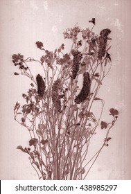 Beautiful floral prairie field bouquet. Daguerreotype. Film grain Botanical negative x-rays scan Canvas texture background Vintage conceptual old retro aged postcard Dark sepia brown soft color