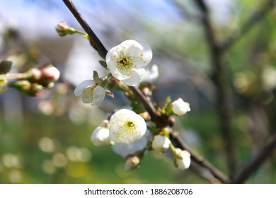 Easter Nature Images, Stock & Vectors