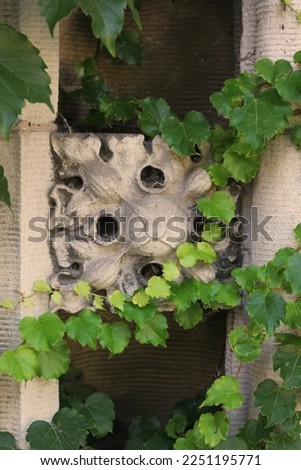 Beautiful floral stone medallion decorating an old building wall.