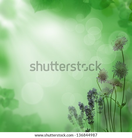 drop panorama Nature Plant