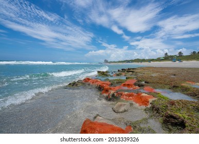Beautiful Florida beach with crystal clear water and red rocks. Great place for snorkeling. Red Reef Park, Boca Raton, Florida USA	
