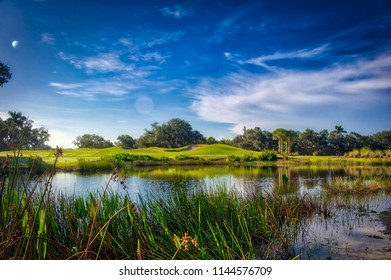 Beautiful Florida Golf Course