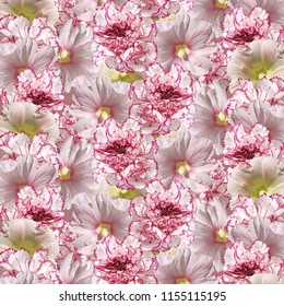 Beautiful flower background from a mallow and a hibiscus  