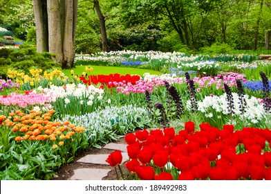 Beautiful flower beds in Keukenhof park, Holland