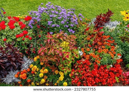 Beautiful flower beds in the park. Lots of beautiful summer flowers. Lush bright flowering in the garden. Multicolor blooming front garden. Outdoor summer gardening.
