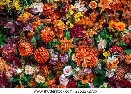beautiful flower decoration for flora 
 background.