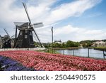 Beautiful flower garden and dutch windmills theme architecture in Huis Ten Bosch Theme Park, Nagasaki, Japan.