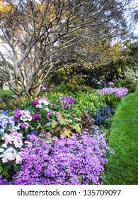 Beautiful Flower Garden At  Sydney Botanic Garden