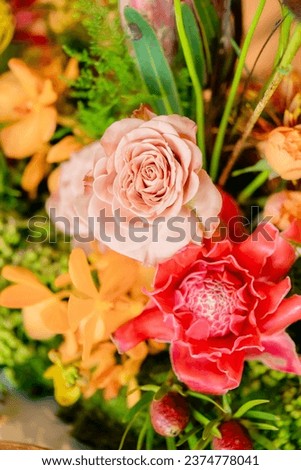 A beautiful flower with natural light color, luxury flower for screen wallpaper. Rose, Dahlia  and others flowers are full of bright floewer. Selective focus on bloom flowers. flower for background.