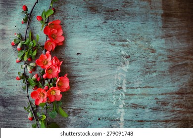 Beautiful flower on grunge wooden table - Powered by Shutterstock