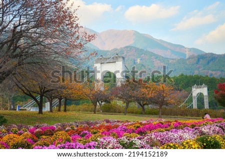 Beautiful flower park with overlooking bridge and mountains. Hadano Tokawa Prefectural Park in Japan. 