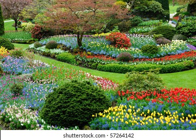 Nature Pictures Flowers Garden : Nature Scene With Purple Flowers In