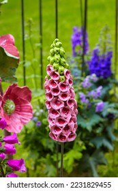 Beautiful flower replica made of ceramic, (lupine replica). - Shutterstock ID 2231829455