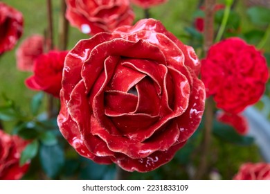 Beautiful flower replica made of ceramic, (rose replica). - Shutterstock ID 2231833109