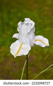 Beautiful flower replica made of ceramic, (whith lupine replica). - Shutterstock ID 2232098727