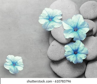 Beautiful Flower And Stone Zen Spa On Grey Background