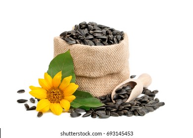 Beautiful Flower Of A Sunflower And Roasted Sunflower Seeds On A White Background.