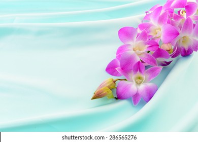 お花 かわいい の写真素材 画像 写真 Shutterstock