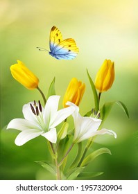 Beautiful  flowers bouquet of yellow tulips, white lilies and butterfly on natural green-yellow background close-up outdoors. Elegant refined image of beauty of nature.