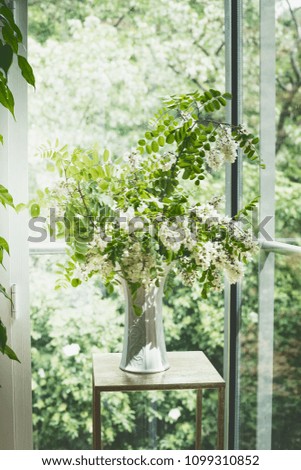 Similar – Acacia bouquet on the table in living room