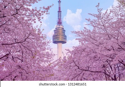 3,425 Seoul tower in spring Images, Stock Photos & Vectors | Shutterstock