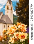 Beautiful flowers with a church on a sunny day in summer at Kals am Großglockner, Lienz, Eastern Tyrol, Austria