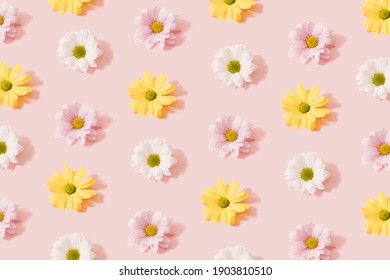 Beautiful flowers color decoration on a pink pastel background. Flat lay pattern.