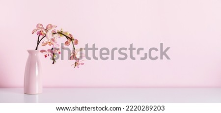 Beautiful flowers composition. Bouquet pink orchids in vase on table. Pink phalaenopsis orchid flower on pastel pink background. Concept Valentines Day, Happy Women's Day, March 8. 