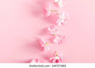 Beautiful flowers composition. Pink flowers on light pink pastel background. Flat lay, top view, copy space