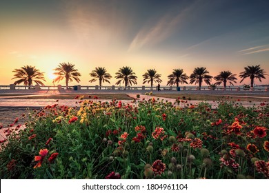 Beautiful flowers garden in Al khobar Corniche -  Khobar, Saudi Arabia.