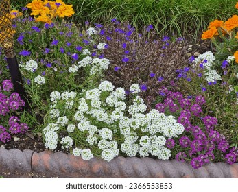 Beautiful flowers at garden at gokul krishna temple uk - Shutterstock ID 2366553853