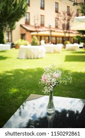 Beautiful Flowers In Luxury Five Star Hotel Wedding Marriage Outdoor Garden Party Before Guests Arrive.