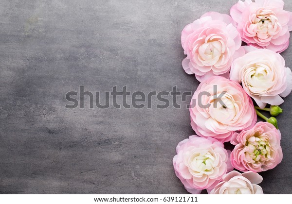 Beautiful Flowers On Gray Background Stock Photo (Edit Now) 639121711