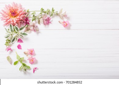 Sage Colors 图片 库存照片和矢量图 Shutterstock