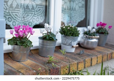 beautiful flowers on windowsill, pink and white blossom - Shutterstock ID 2229475775