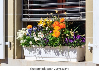 Beautiful Flowers In A Pot On The Windowsill Outside The House