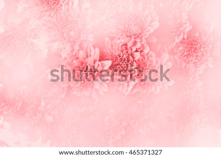 Similar – Summer Flowers Frame Background