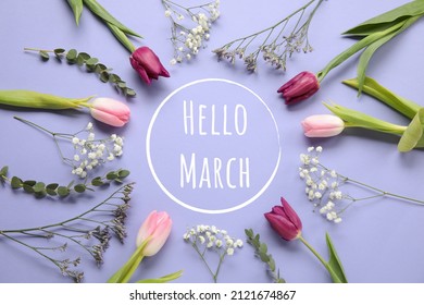 Beautiful flowers with text HELLO MARCH on color background