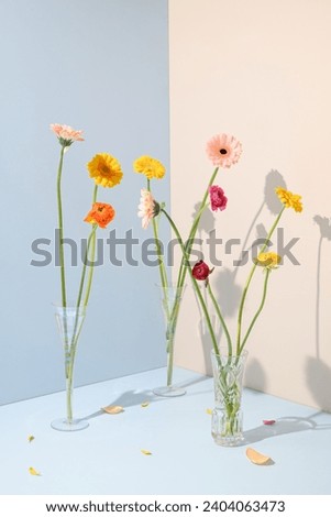 Beautiful flowers in a vase against a blue and cream background. Spring aesthetic concept.
