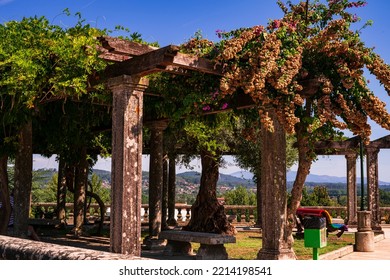 Beautiful And Flowery Viewpoint Where Some Vines Give Shelter From The Sun. Photography Made In Tui, Pontevedra, Spain.